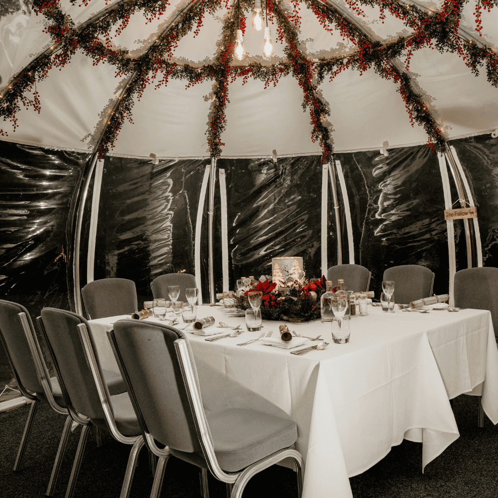 Cena all interno di bolla wind